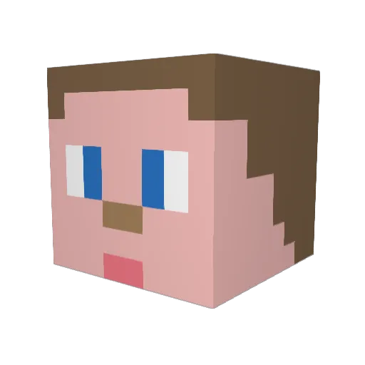 Sharkapito Minecraft avatar head, 3D render