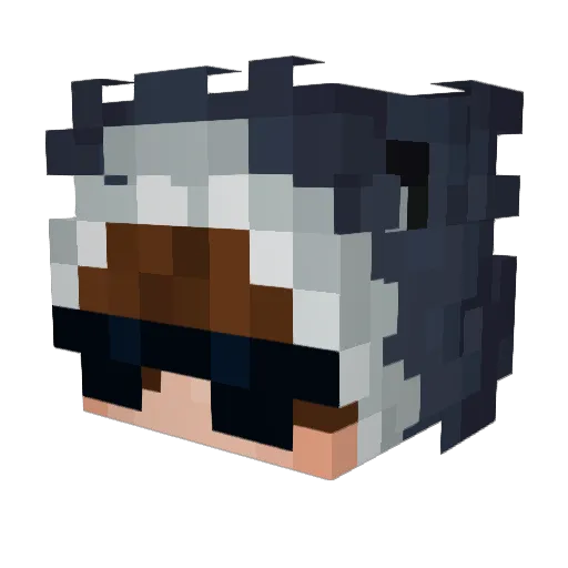 Sharkbait0880 Minecraft avatar head, 3D render