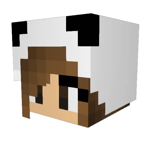 SharkbaitTC Minecraft avatar head, 3D render