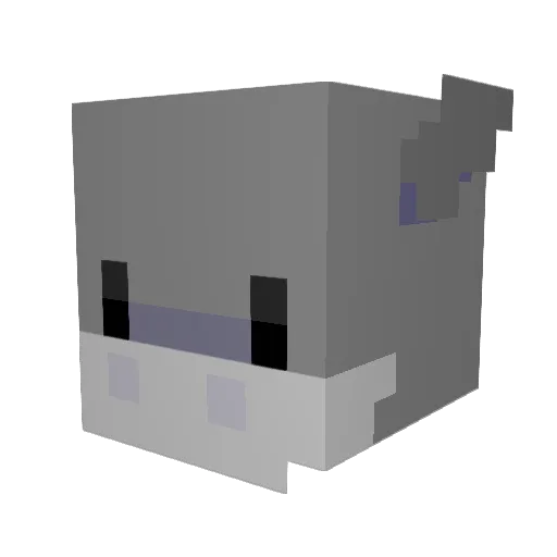 Sharkboi779 Minecraft avatar head, 3D render