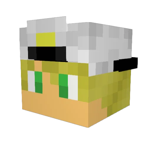 Sharkdiver345 Minecraft avatar head, 3D render