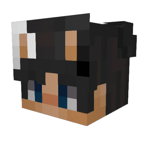 Sharkeeee Minecraft avatar head, 3D render