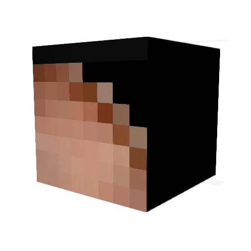 Sharker2000 Minecraft avatar head, 3D render