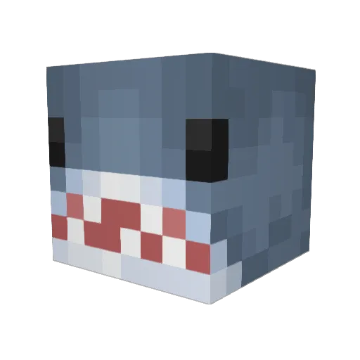 Sharkey19 Minecraft avatar head, 3D render