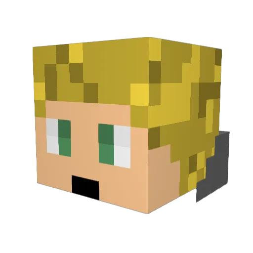 Sharkfinn900 Minecraft avatar head, 3D render
