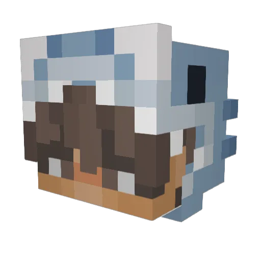 Sharki1Rainbow Minecraft avatar head, 3D render