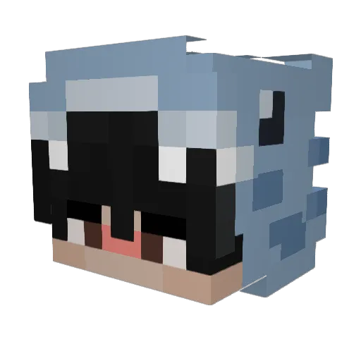 Sharkie23063 Minecraft avatar head, 3D render