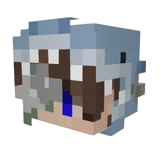 Sharkiwnl Minecraft avatar head, 3D render