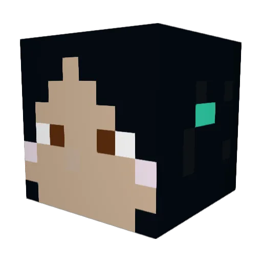 Sharklover_17 Minecraft avatar head, 3D render