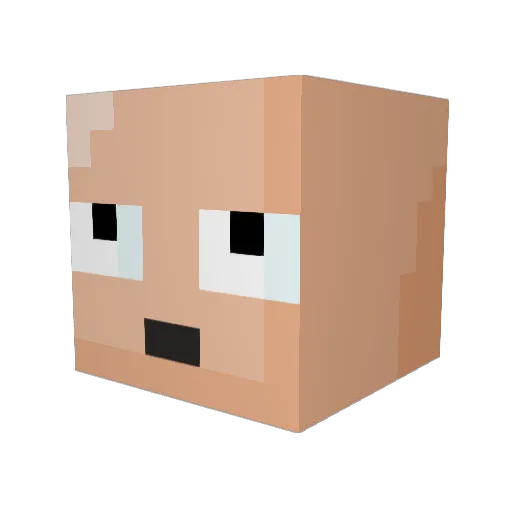 Sharknut48 Minecraft avatar head, 3D render