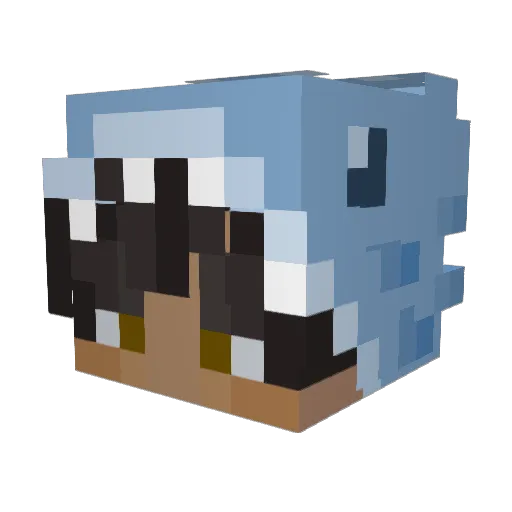 Sharkofwitch Minecraft avatar head, 3D render