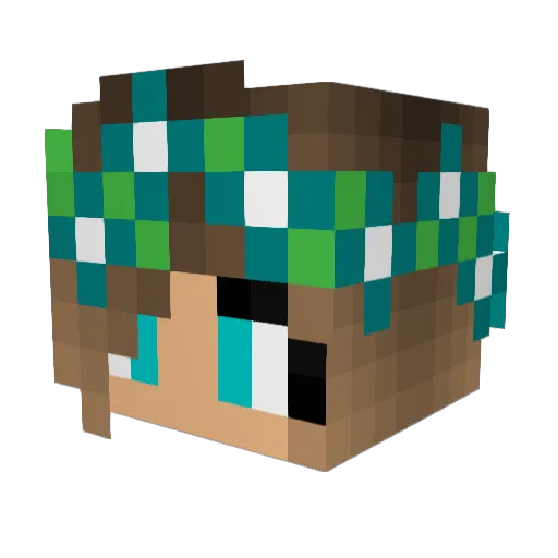 SharksArentSoup Minecraft avatar head, 3D render