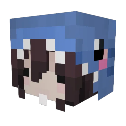 Sharksomnia Minecraft avatar head, 3D render
