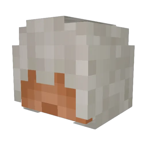 Sharky21o Minecraft avatar head, 3D render