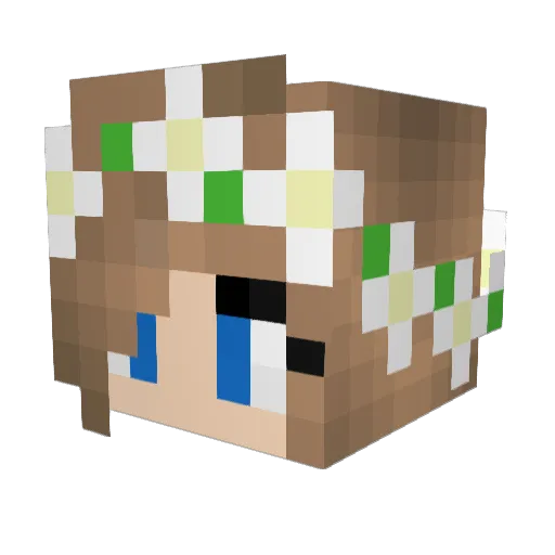 Sharky556 Minecraft avatar head, 3D render