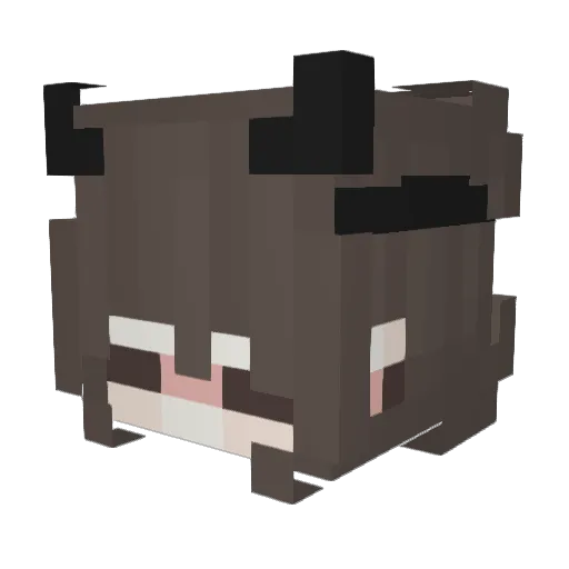 SharkyAsh Minecraft avatar head, 3D render