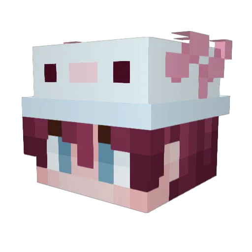 SharkyLolz Minecraft avatar head, 3D render