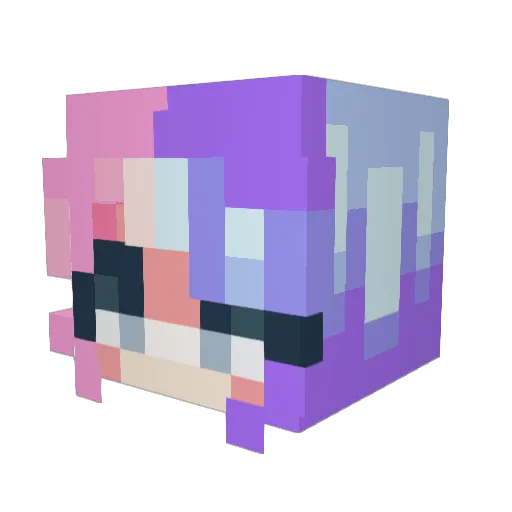SharkyOGz Minecraft avatar head, 3D render