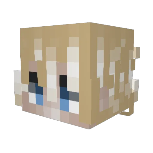 Sharkylz Minecraft avatar head, 3D render
