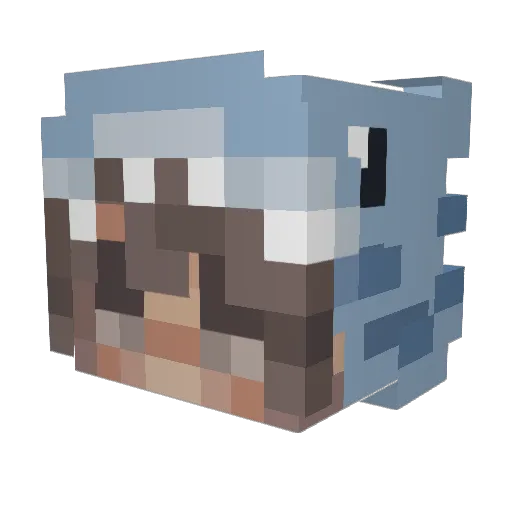 Sharkyyss Minecraft avatar head, 3D render