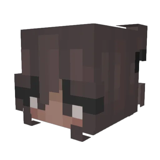 Sharlet999 Minecraft avatar head, 3D render