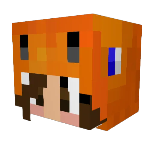 Sharmander29 Minecraft avatar head, 3D render