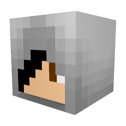 Sharnik Minecraft avatar head, 3D render