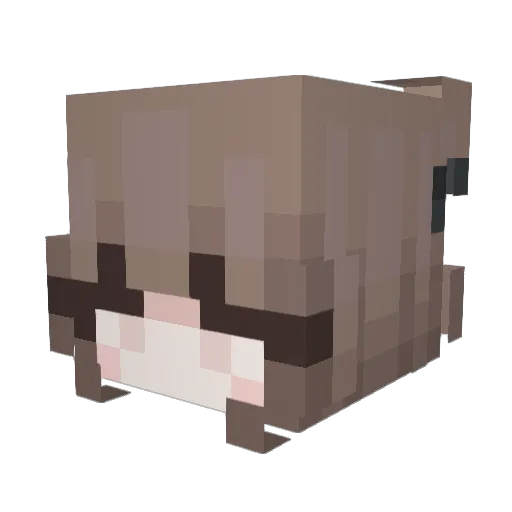 Sharonn Minecraft avatar head, 3D render