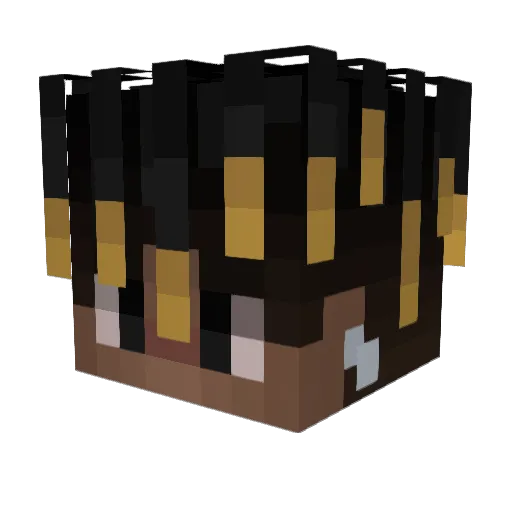 SharpNull Minecraft avatar head, 3D render