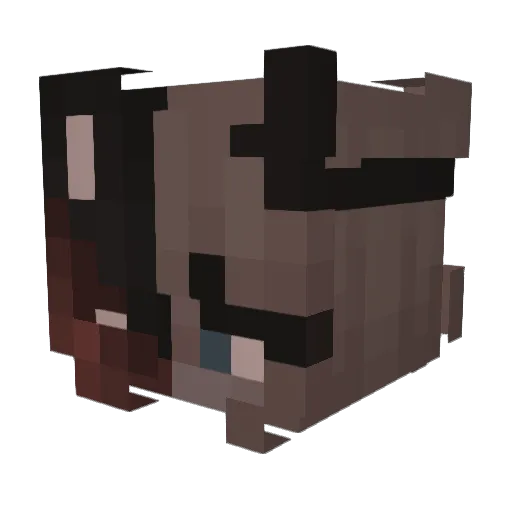 Sharpbaby9696 Minecraft avatar head, 3D render