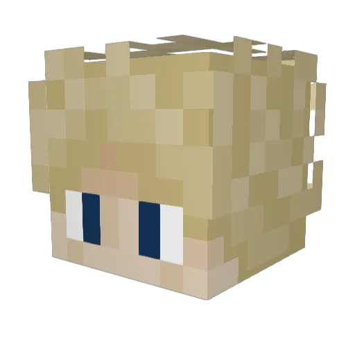 Sharpcop Minecraft avatar head, 3D render