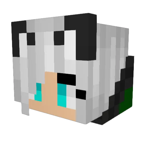 SharpeyedKitsune Minecraft avatar head, 3D render