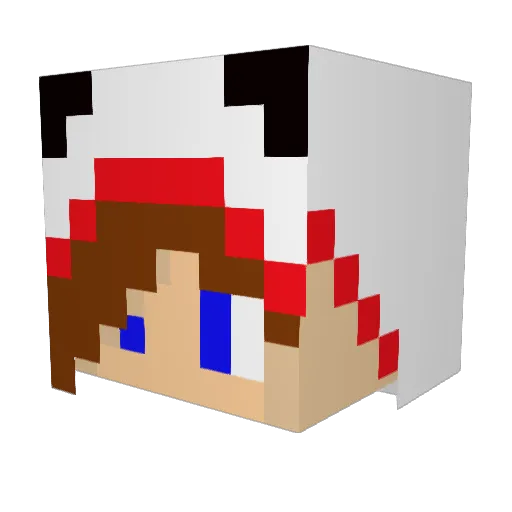 Sharpie007 Minecraft avatar head, 3D render