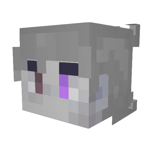 Sharpie9819 Minecraft avatar head, 3D render