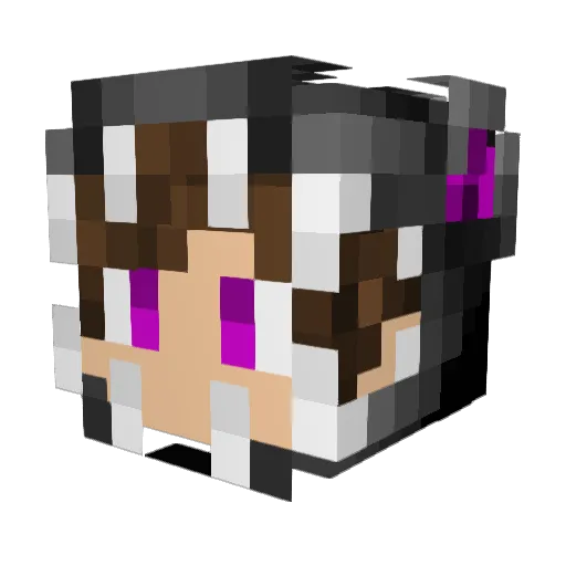 Sharpness997 Minecraft avatar head, 3D render