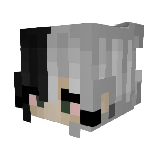 Sharprazor276 Minecraft avatar head, 3D render