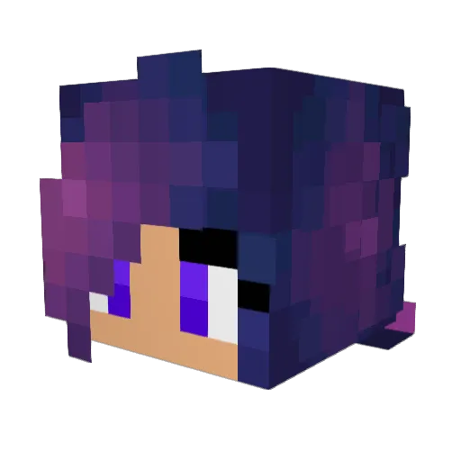 Sharpsong545 Minecraft avatar head, 3D render
