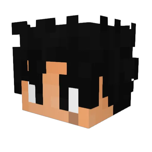 Sharrk42 Minecraft avatar head, 3D render