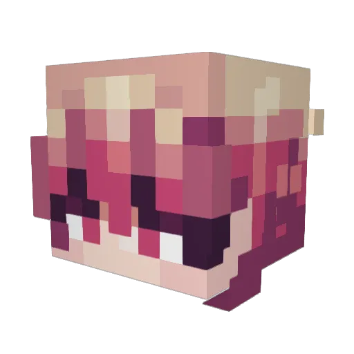 SharrkBiird Minecraft avatar head, 3D render