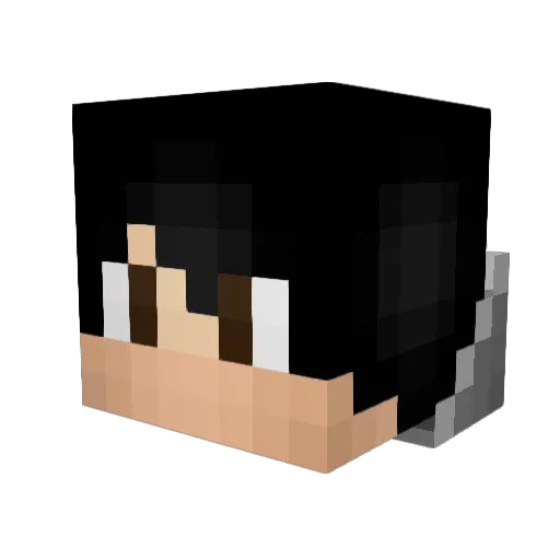 Sharrus Minecraft avatar head, 3D render