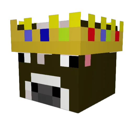 Shartface1234 Minecraft avatar head, 3D render