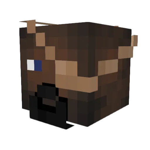 Shartune Minecraft avatar head, 3D render
