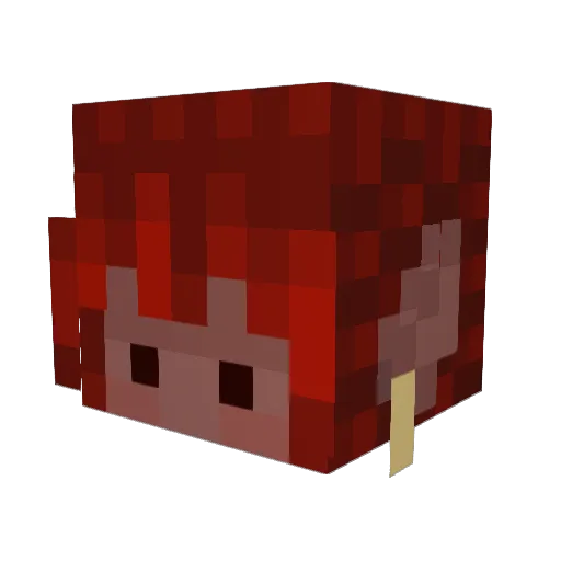 Shasharona Minecraft avatar head, 3D render