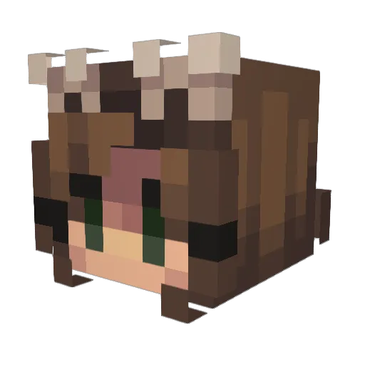 Shasic Minecraft avatar head, 3D render