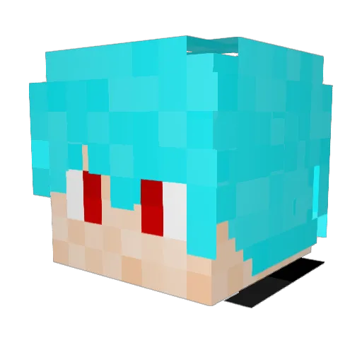 Shasta17 Minecraft avatar head, 3D render