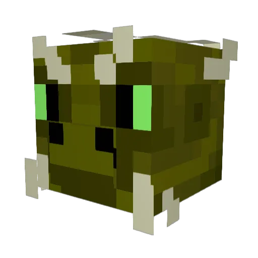 ShastaSnags Minecraft avatar head, 3D render