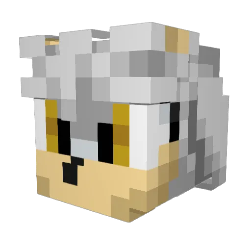 Shastarocks Minecraft avatar head, 3D render