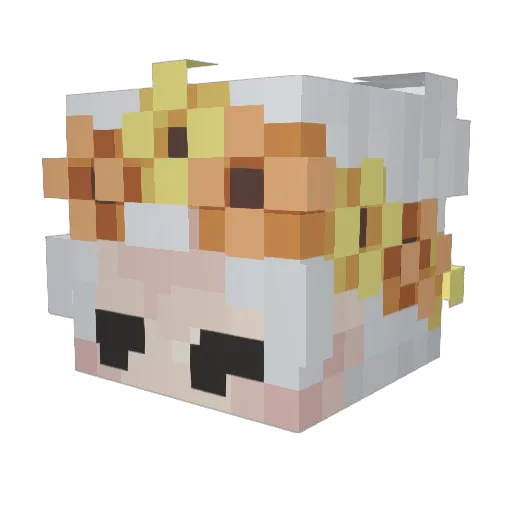 ShatteredDreamz Minecraft avatar head, 3D render