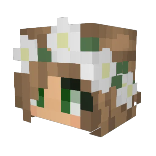 ShatteredGhost13 Minecraft avatar head, 3D render