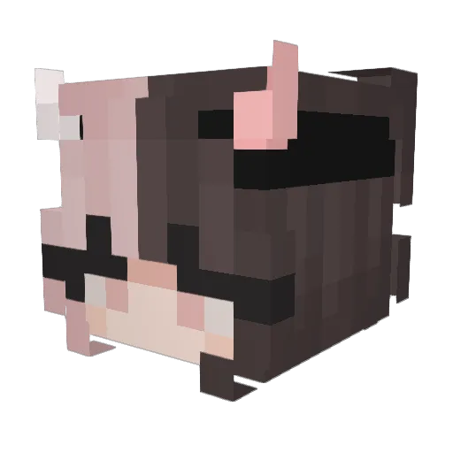 Shauaha Minecraft avatar head, 3D render